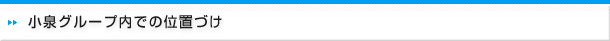 小泉グループ内での位置づけ
